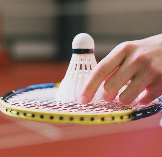 Badminton racket series